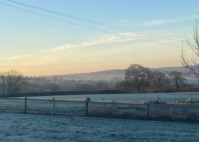 Cosy And Rural Lodge At Goldhill Glamping